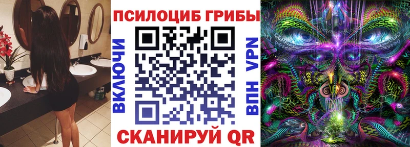 Псилоцибиновые грибы мухоморы  дарнет шоп  Донецк 